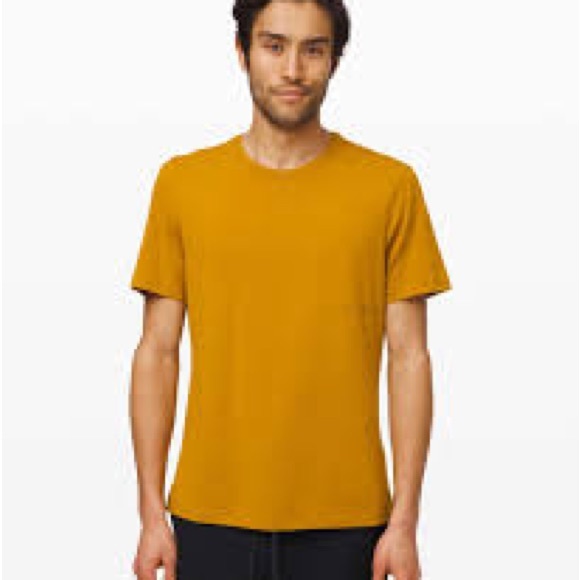 5 year basic tee - Picture 3 of 3